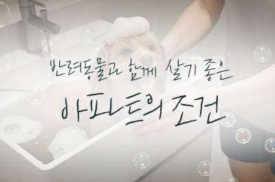 반려동물과 함께 살기 좋은 아파트의 조건 🐾
